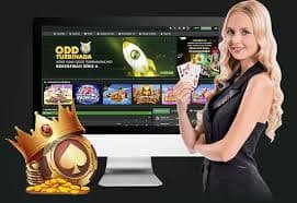 Bangladesh mobile users exploring ok baja live casino pages with readable layout